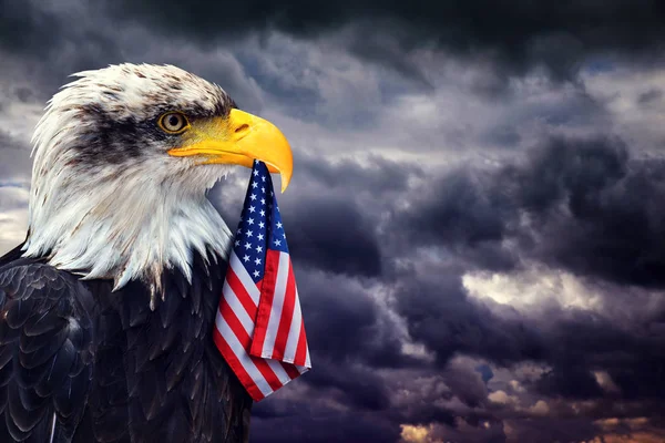 Bielik Posiada Dziób Flagi Stanów Zjednoczonych Tle Ciemnego Pochmurnego Nieba — Zdjęcie stockowe