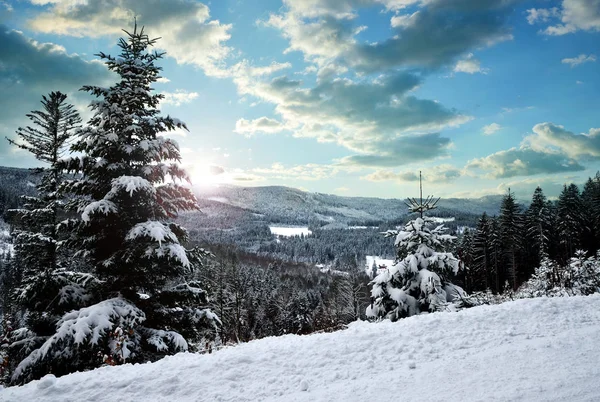 Śnieżna Zima Krajobraz Zachodzie Słońca Park Narodowy Szumawa Republice Czeskiej — Zdjęcie stockowe