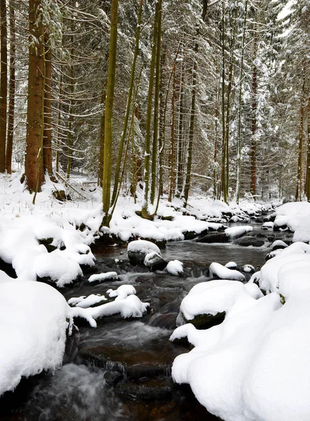 Kış creek Ulusal Parkı Sumava, Çek Cumhuriyeti için.