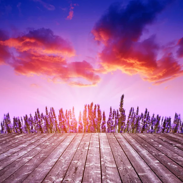 Деревянный Стол Цветком Лаванды Закате — стоковое фото