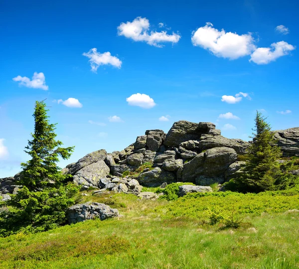 Cúpula Montanha Grosser Arber Parque Nacional Bayerische Wald Alemanha — Fotografia de Stock