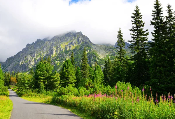 풍경입니다 Mengusovska Vysoke Tatras 슬로바키아에 하이킹 — 스톡 사진