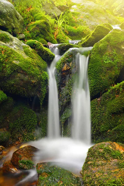 Cascada Arroyo Montaña Parque Nacional Sumava República Checa —  Fotos de Stock