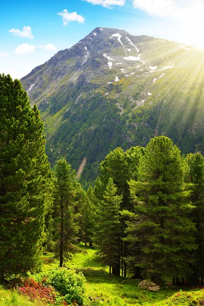 Wiosenne Góry Krajobraz Park Naturalny Riesenferner Dolomitach Regionie Południowy Tyrol — Zdjęcie stockowe