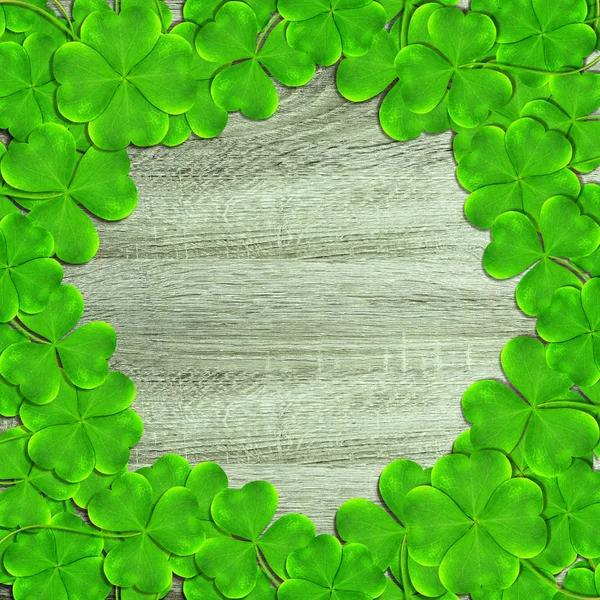 Frame Van Groene Klaver Bladeren Shamrocks Houten Achtergrond Saint Patricks — Stockfoto