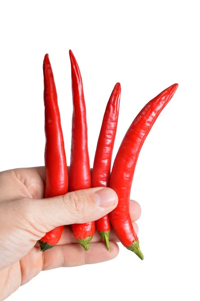 Ręka Trzyma Red Hot Red Hot Chili Peppers Białym Tle — Zdjęcie stockowe
