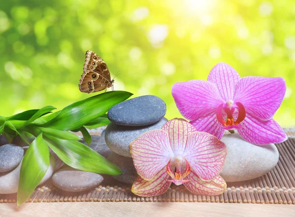 Guijarros Zen Con Hojas Bambú Flores Orquídea Sobre Mesa Spa —  Fotos de Stock