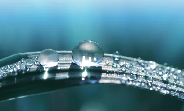 Mooie Grote Transparante Drop Van Water Dauw Het Gras Close — Stockfoto