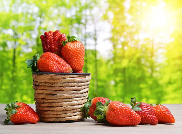 Reife Süße Erdbeeren Holzkorb Sommerernte Gartenkonzept — Stockfoto