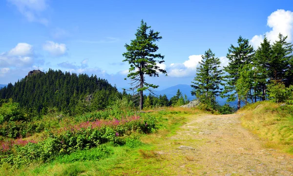 夏日风景与山在国家公园巴伐利亚森林 德国的克莱因 Osser — 图库照片