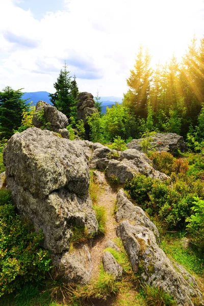 Paisaje Parque Nacional Sumava Cima Montaña Spicak República Checa —  Fotos de Stock