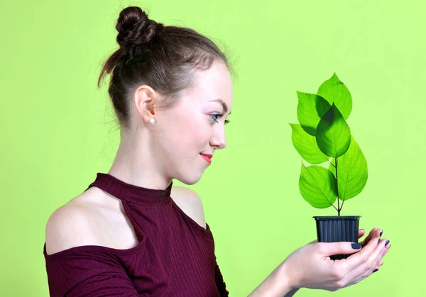 女の子の小さな緑の植物と鉢を手で押し — ストック写真