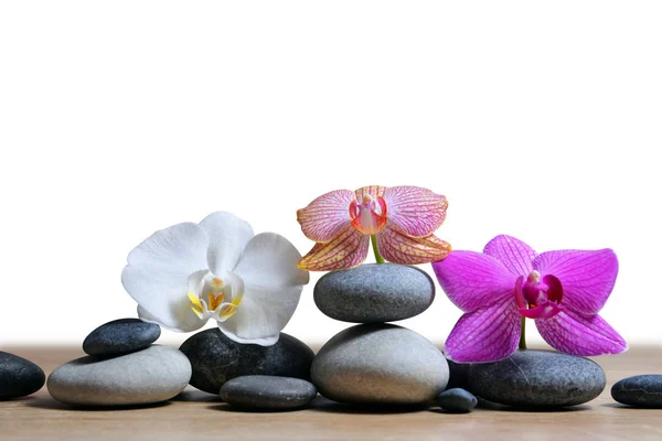 Zen Kieselsteine Und Orchideenblumen Auf Weißem Hintergrund — Stockfoto