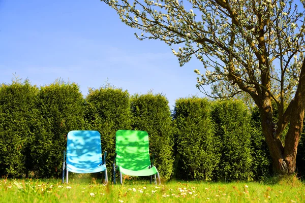 Lounge chairs on grass in a spring garden.