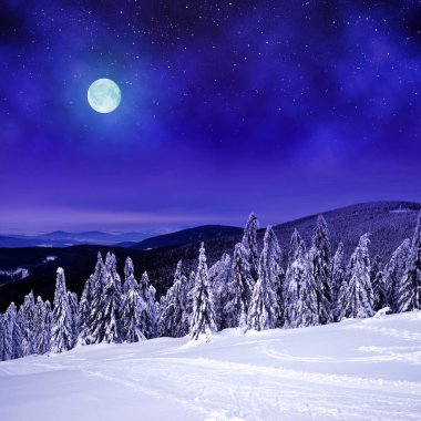 Geceleri karlı kış manzarası. Çek Cumhuriyeti, Sumava Ulusal Parkı 'ndaki Pancir Dağı' ndan görüntü.