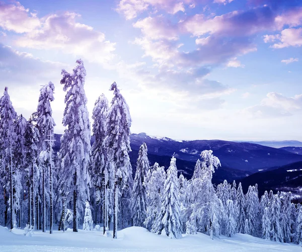 Śnieżna Zima Krajobraz Zachodzie Słońca Widok Góry Pancir Parku Narodowym — Zdjęcie stockowe
