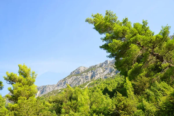 Paysage Estival Dans Montagne Rilic Riviera Makarska Dalmatie Sud Croatie — Photo