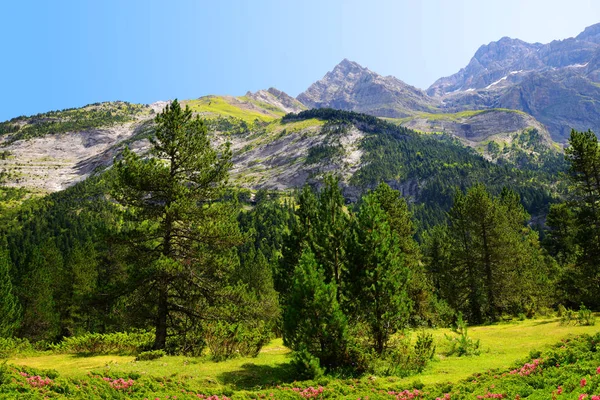 Літній Гірський Пейзаж Гаварні Національному Парку Піренеїв Франція — стокове фото