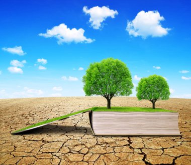 Open book with trees in the dry landscape with cracked soil. Concept of change climate or global warming.
