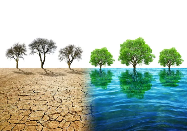Száraz Ország Repedt Talajjal Vízfelülettel Fákkal Klímaváltozás Vagy Globális Felmelegedés — Stock Fotó