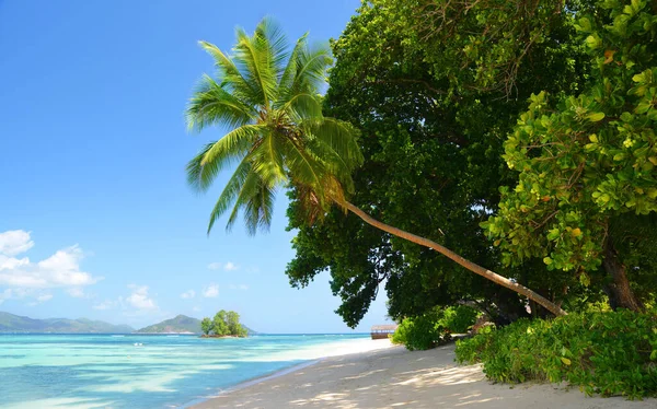 Playa Anse Union Digue Island Seychelles — Foto de Stock