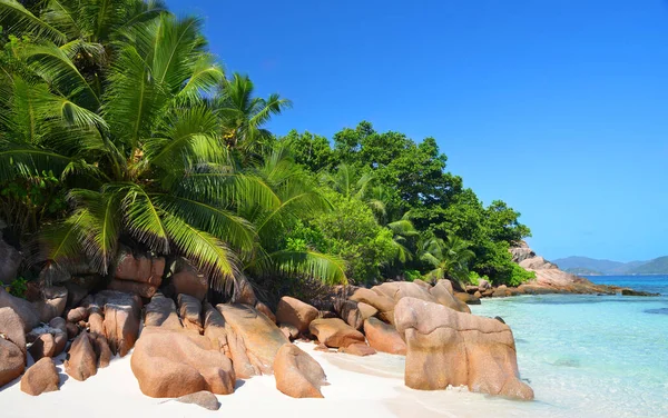 Costa Ilha Tropical Digue Anse Praia Severa Oceano Índico Seychelles — Fotografia de Stock