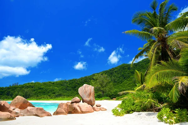 Stranden Anse Cocos Digue Island Seychellerna — Stockfoto