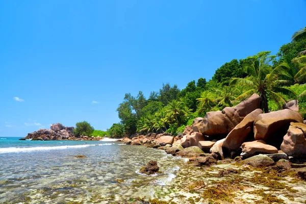 Costa Con Grandes Piedras Granito Playa Anse Caiman Digue Island — Foto de Stock