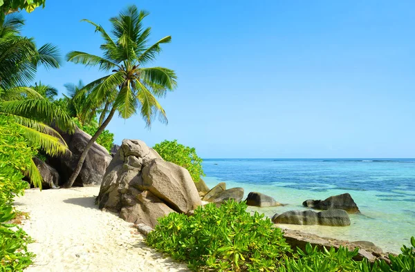 Прекрасный Пляж Anse Source Argent Большими Гранитными Скалами Кокосовыми Пальмами — стоковое фото