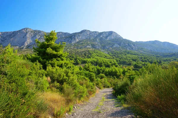 Paysage Estival Dans Montagne Rilic Riviera Makarska Dalmatie Sud Croatie — Photo