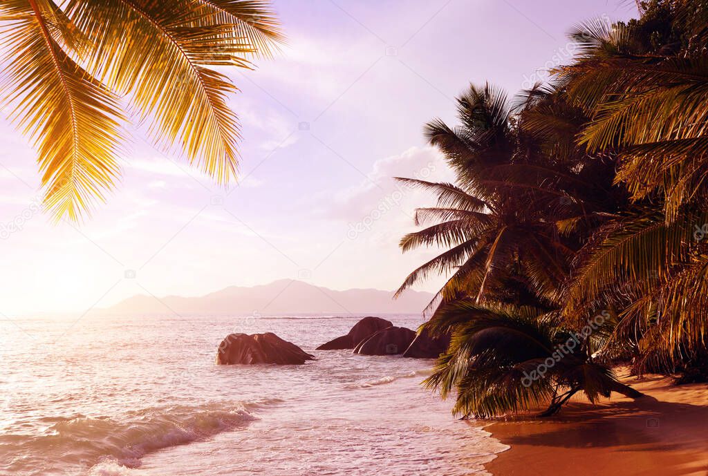 Coconut palm trees on tropical beach Anse Source d'Argent at sunset. La Digue Island, Indian Ocean, Seychelles.