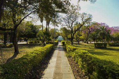 pasarela verde de la plaza