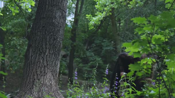 Маленькая ведьма, шагающая по лесу — стоковое видео