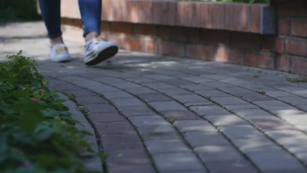 Pies de mujer en la avenida — Vídeos de Stock