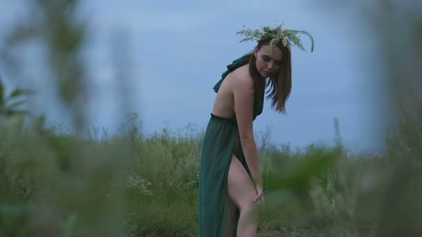 Молодая девушка ласкает свое тело в поле — стоковое видео