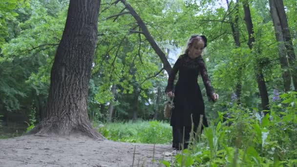 Pequeña bruja caminando en el bosque — Vídeos de Stock