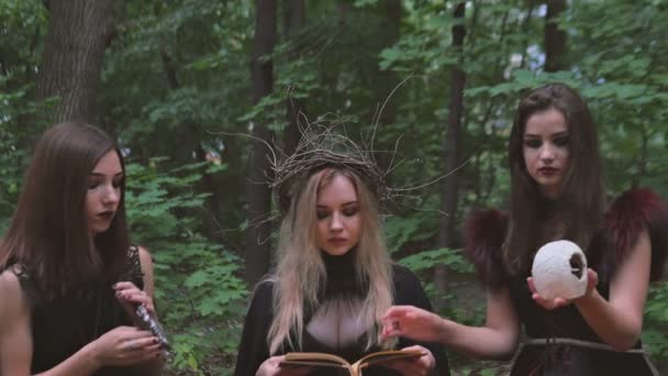女巫魔法晶在森林里 — 图库视频影像
