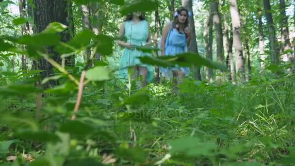 Німфи є ходьба через ліс — стокове відео