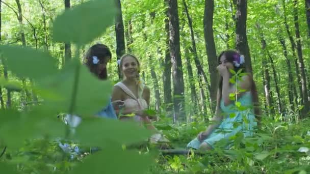 Nymphs are Communicating in the Forest — Stock Video