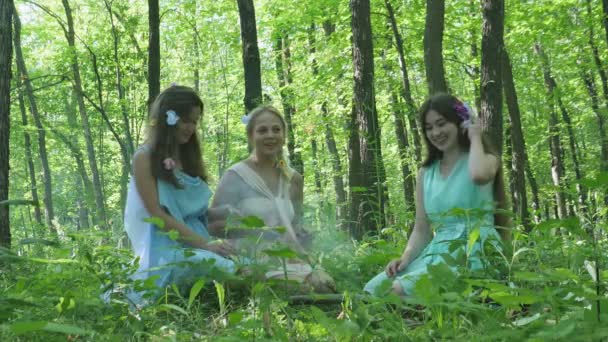 Німфи спілкуються в лісі — стокове відео