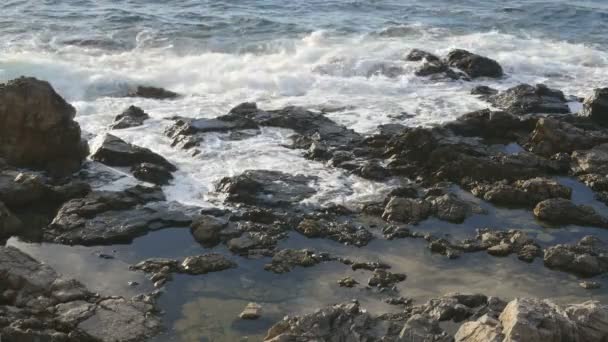 De hautes vagues dans l'océan. Vagues géantes de l'océan bleu — Video