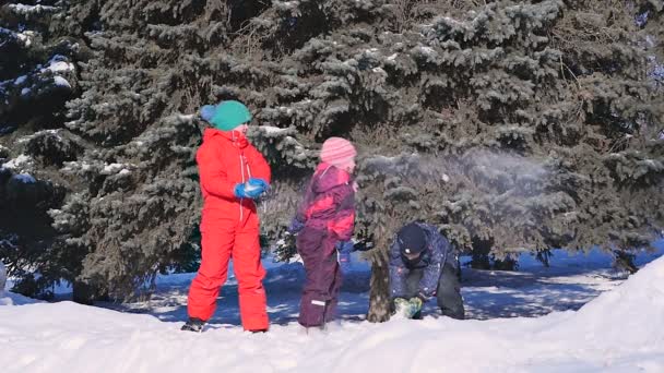 Groupe d'enfants jouant sur la neige en hiver — Video