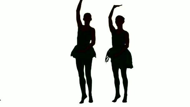 Silhouette de deux ballerines dansantes sur fond blanc — Video