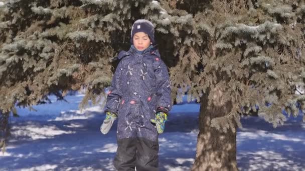 Portrait d'hiver d'un gamin drôle en vêtements rouges, en plein air — Video