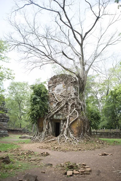 My Cambodia Ancient land