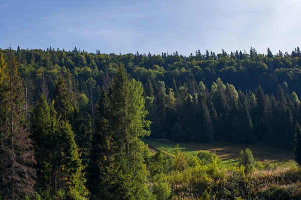 dağlar ve mavi gökyüzü bulutlu fon karşı yaprak dökmeyen ağaçlar