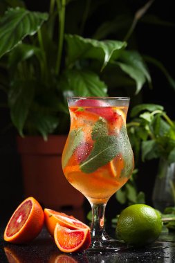 Taze yaz soğuk turuncu limon ve nane ile kokteyl