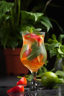 Taze yaz soğuk turuncu limon ve nane ile kokteyl