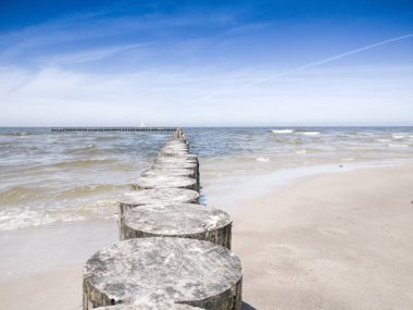Baltık üzerinde Ceach. Baltık Denizinde ahşap dalgakıran. Güzel, güneşli bir plaj. Sakin deniz ve gökyüzü bulutlar olmadan.