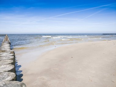 Baltık kumsalda. Baltık Denizi tarafından bir geniş, güzel kumlu plaj. Sakin deniz ve dalgakıranlar. Baltık, güneşli ve sıcak tatil sahilde.